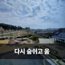 서산 | 서산 풀빌라 리숨풀빌라 서산 자쿠지 펜션 후기