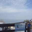 스테이 섬씽 울릉도 이미지