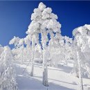 햇님주유소 이미지