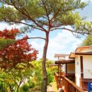 석양의추억펜션 이미지