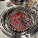 초전 | 고기 덕후들의 천국! 진주 갈속집 초전점 방문 후기 [갈속집 진주초전점]