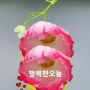 산처럼 강물처럼 살자 이미지