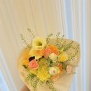 상남동263 이미지