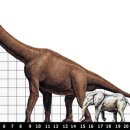 케라토사우루스 | 브라키오사우루스(Brachiosaurus), 하늘을 올려다보던 초식 공룡
