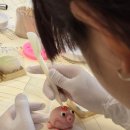 (12/13) 성인_달콤 화과자 | 하남 미사 화과자 순수화과 - 여름방학 화과자 만들기 키즈 &amp; 맘 후기