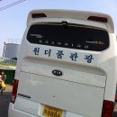 유진여행사 - 밀양시 백민로 11 | 유진여행사