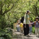 매화정원어린이집 이미지