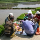 새참하우스 이미지