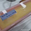 휴먼앤팜 이미지