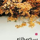 응암1동 주민센터 이미지