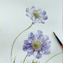 홍대꽃이야기