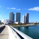 마이애미 이미지