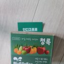 인디고포포