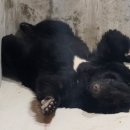 안한농장 이미지