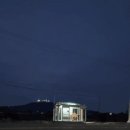 막차 기다리는 황소~~,,ㅎ 이미지