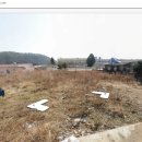 하일초등학교 이미지