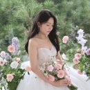 아영하우스 | W7. 부산 웨딩 스튜디오 / 루브하우스 촬영 후기 / 고양이와 함께 찍은 집사의 웨딩 촬영