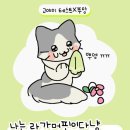 고야미 이미지