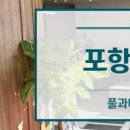 풀과나무한의원 이미지