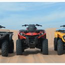 하루와노을 이미지