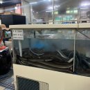 강천장어 | 신현리 장어 맛집 강천장어