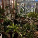 물꽁오리 앞 이미지