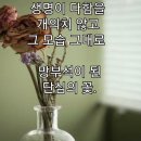 일조플라워