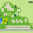 유명산258 이미지