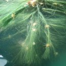 동남자원 이미지