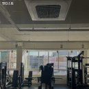 핏티스트 이미지