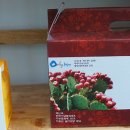 파도소리카페 이미지