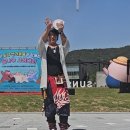 펫 사랑 이미지