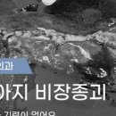 나의 동물메디컬 센터 이미지