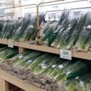 로컬푸드 싱싱문화관 이미지