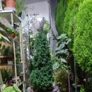 봉도농장 이미지