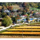 금척마을 이미지