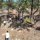 이레 행정사 이미지