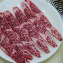 우가우가 이미지