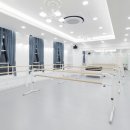 볼쇼이발레학원 - 화성시 동탄대로시범길 189 | 볼쇼이발레학원