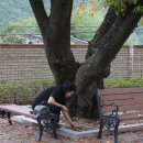 울산들꽃학습원 이미지