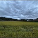 노노맨션 이미지