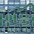 대사리마을회 이미지