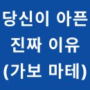 나는 상담소 가지 않고 자가 치유(SELF MEDICATION)한다 | [심층 기획 1부] 당신이 아픈 진짜 이유: 가보르 마테가 밝히는 몸, 트라우마, 그리고 '정상'이라는 환상
