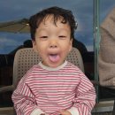 고성카써비스 | 강원도 여행 아기랑, 속초 영금물회, 고성 커피고, 도자기별 소품샵 _이 코스 강추!