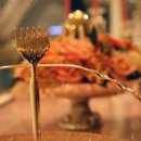 승촌공원 캠핑장 이미지