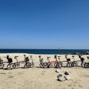 동해안자전거도로8(동) | 동해안 자전거길 라이딩 후기 - 벚꽃과 바다를 함께 달린 하루