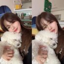 블링캣 이미지