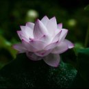 아름다운농장 이미지