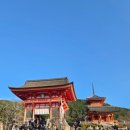 ㈜마이오토링크 | 교토 여행 청수사 기요미즈데라 명소 무대 오토와폭포 체험