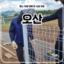 주주애견 | 오산휀스 펜스 - “진짜 카페 맞아?” 울타리 하나로 분위기 확 달라진 오산 애견카페